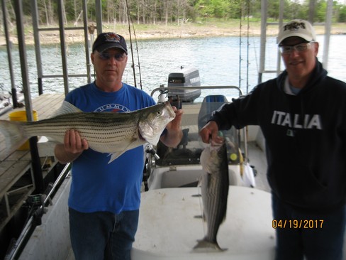 Nice Striped Bass